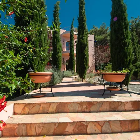Villa Butterfly Garden